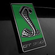 Load image into Gallery viewer, GT350 Emblem Overlays : Colored