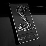 Load image into Gallery viewer, GT350 Emblem Overlays : Colored