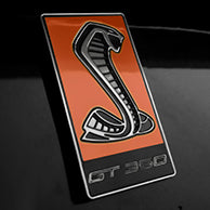 Load image into Gallery viewer, GT350 Emblem Overlays : Colored