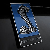 Load image into Gallery viewer, GT350 Emblem Overlays : Colored