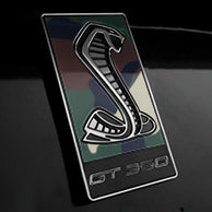 Load image into Gallery viewer, GT350 Emblem Overlays : Flags & Designs