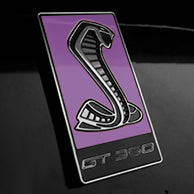 Load image into Gallery viewer, GT350 Emblem Overlays : Colored