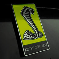 Load image into Gallery viewer, GT350 Emblem Overlays : Colored