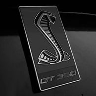 Load image into Gallery viewer, GT350 Emblem Overlays : Colored