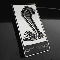 Load image into Gallery viewer, GT350 Emblem Overlays : Colored