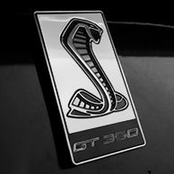 Load image into Gallery viewer, GT350 Emblem Overlays : Colored
