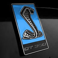 Load image into Gallery viewer, GT350 Emblem Overlays : Colored