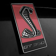 Load image into Gallery viewer, GT350 Emblem Overlays : Colored