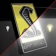 Load image into Gallery viewer, GT350 Emblem Overlays : Textured/Special