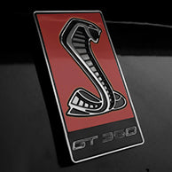 Load image into Gallery viewer, GT350 Emblem Overlays : Colored