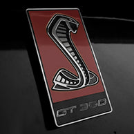 Load image into Gallery viewer, GT350 Emblem Overlays : Colored
