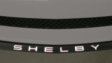 Load image into Gallery viewer, GT350 Front Splitter Letters