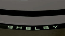 Load image into Gallery viewer, GT350 Front Splitter Letters