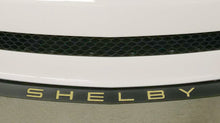 Load image into Gallery viewer, GT350 Front Splitter Letters