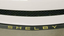 Load image into Gallery viewer, GT350 Front Splitter Letters