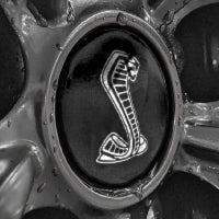 Load image into Gallery viewer, GT350 Wheelcap Overlays (NEW)